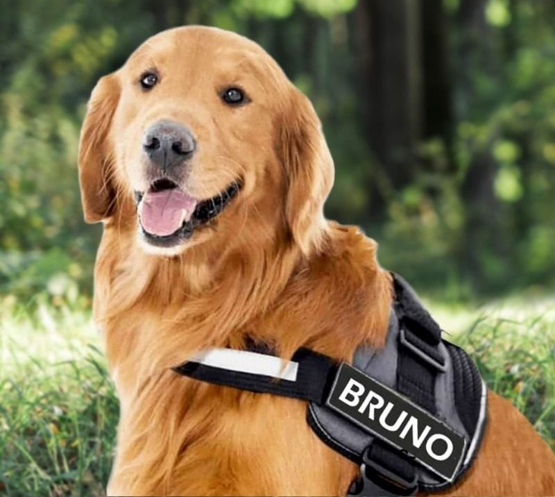 STRELLO STORE™ - CUSTOM FIT NO-PULL DOG HARNESS