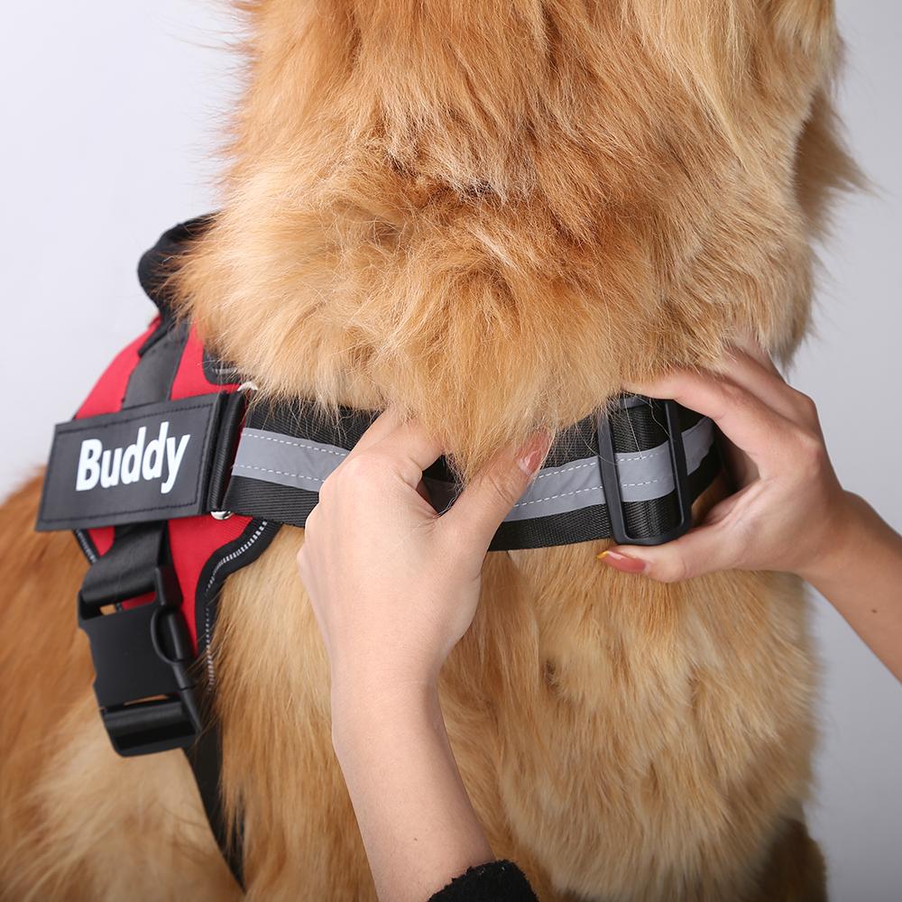 STRELLO STORE™ - CUSTOM FIT NO-PULL DOG HARNESS