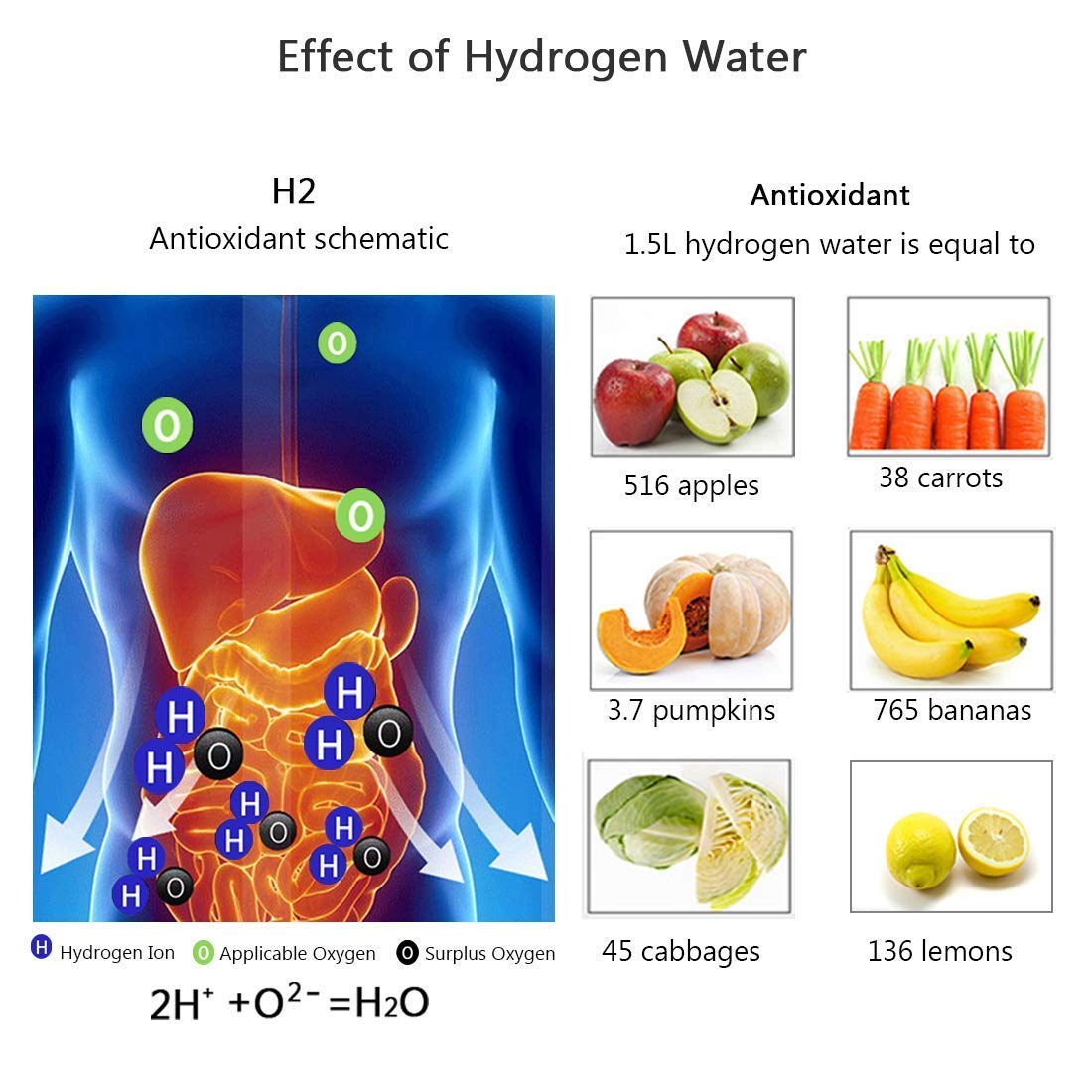 STRELLO STORE™ - HYDROGEN WATER BOTTLE